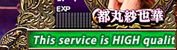 This service is HIGH quality